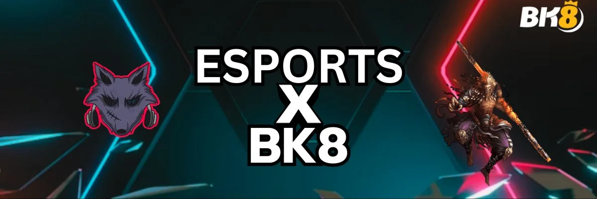 EsportsXBK8